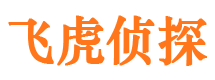 洮南市侦探调查公司